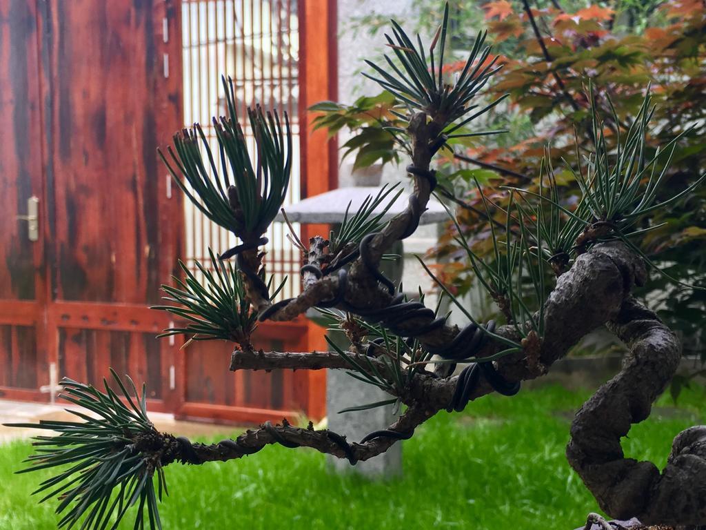 Bo Nan Homestay Dali  Exterior photo